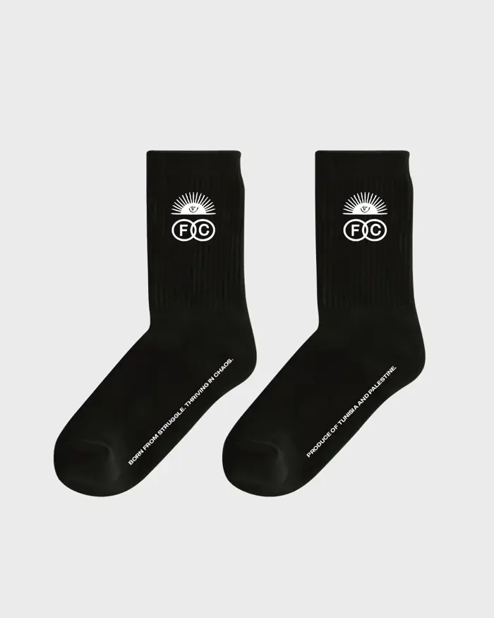 Fichier Caché x SkatePal Socks